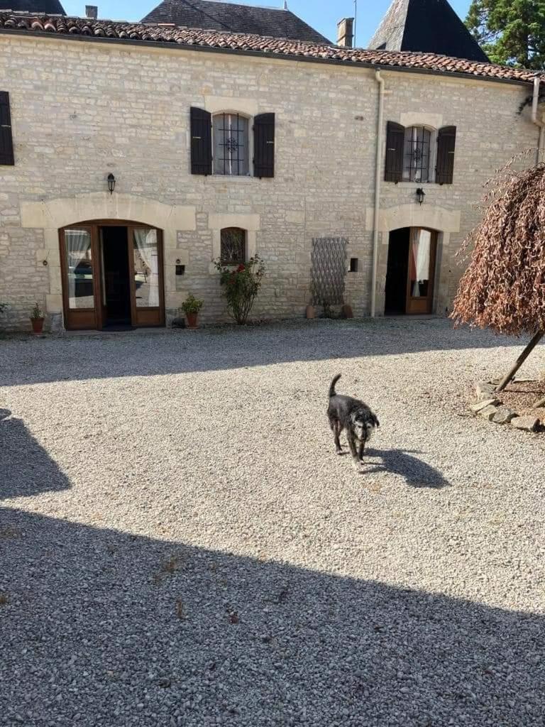 Les Cygnes Noirs Bed & Breakfast Aujac  Dış mekan fotoğraf